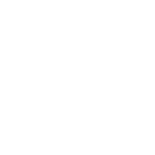 Elektronik