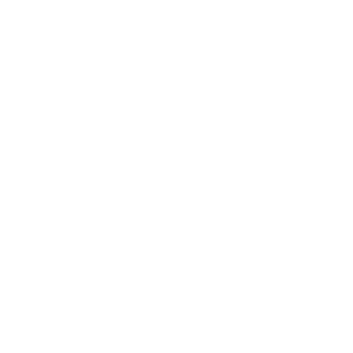 Crew Profesional
