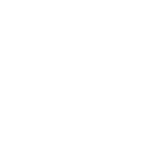 06 — Customer Support